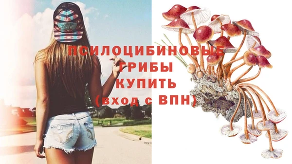 гидра Алзамай