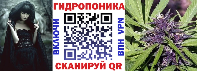 Бошки марихуана Bruce Banner  KRAKEN tor  Апатиты 